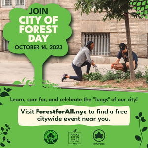 Celebrate City of Forest Day with us! - Big Reuse