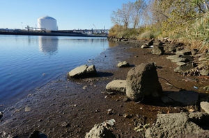 Climate actions to take this week! 10/18 - Big Reuse