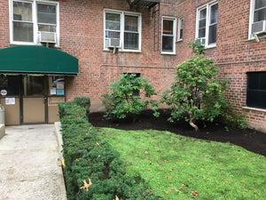 Compost vs Extreme Weather! - Big Reuse