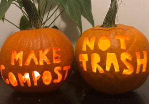 Get rid of your pumpkin sustainably at the Great Pumpkin Event or a neighborhood smash! - Big Reuse