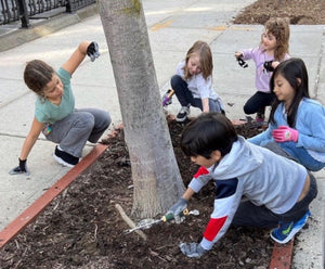 Let's Grow our Urban Forest! - Big Reuse