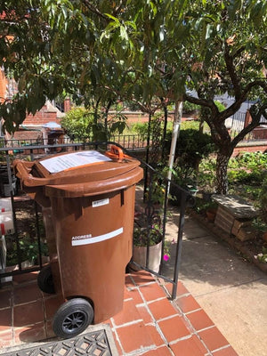 Understanding the Yard Waste Mandate - Big Reuse