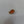 Load image into Gallery viewer, 14K Gold & Coral Earring & Pendant Set - Big Reuse