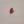 Load image into Gallery viewer, 14K & Sea Coral Ring - Big Reuse