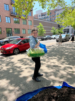 person carrying bags