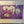 Load image into Gallery viewer, Orchid - Faye S. Richert
