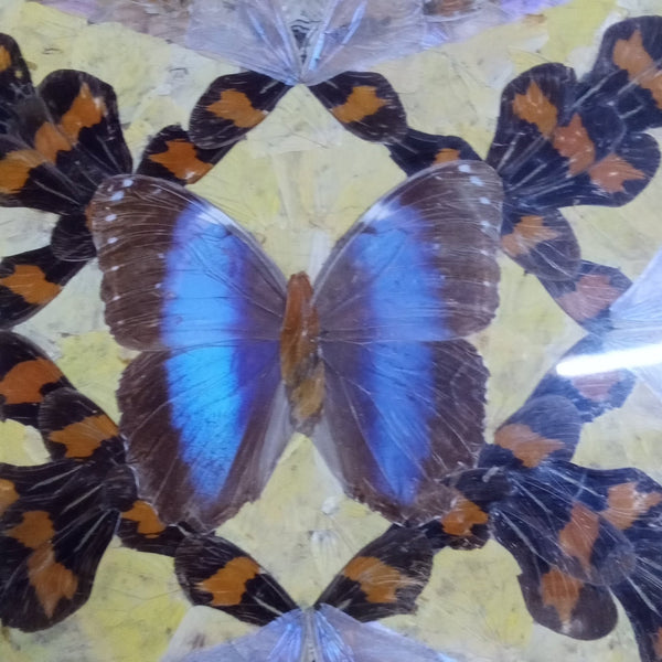 Large Art Deco Butterfly Wing Tray - Big Reuse