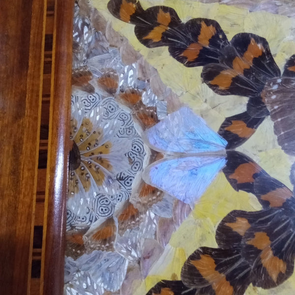 Large Art Deco Butterfly Wing Tray - Big Reuse