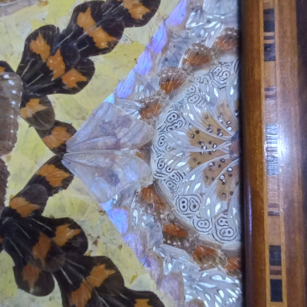 Large Art Deco Butterfly Wing Tray - Big Reuse