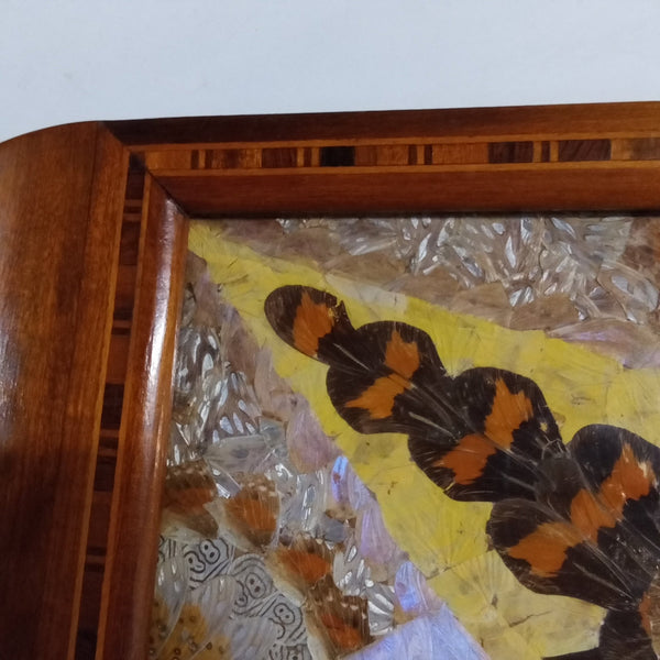 Large Art Deco Butterfly Wing Tray - Big Reuse