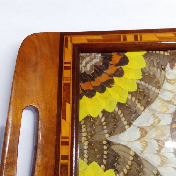 Medium Art Deco Butterfly Wing Tray - Big Reuse