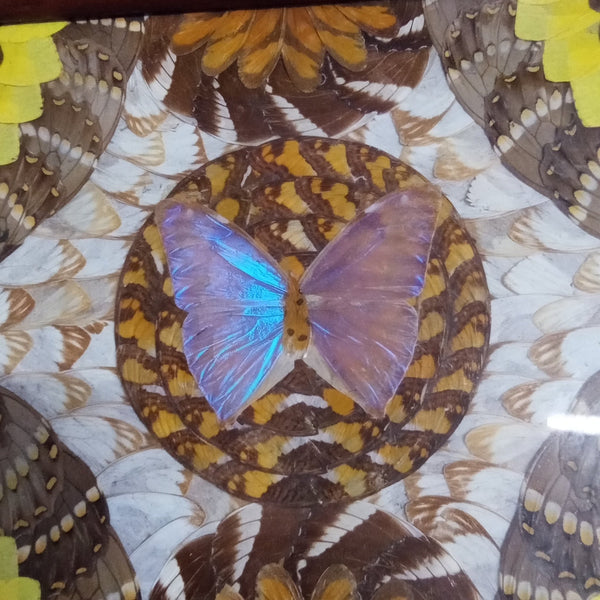 Medium Art Deco Butterfly Wing Tray - Big Reuse