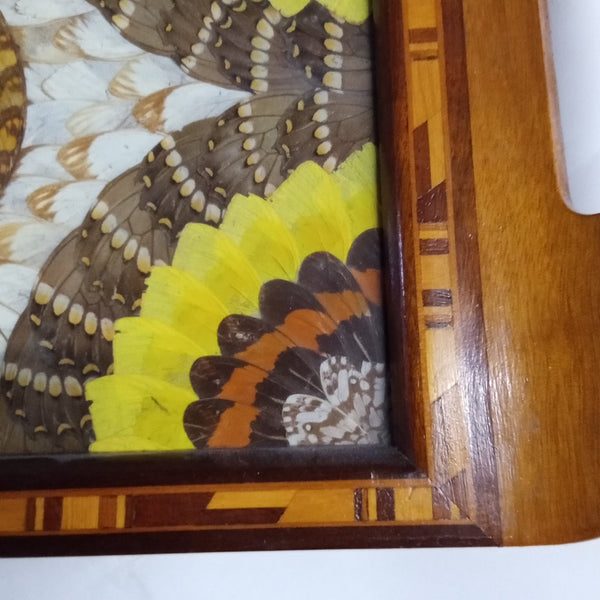 Medium Art Deco Butterfly Wing Tray - Big Reuse