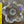 Load image into Gallery viewer, Tiffany & Co Lotus Bowl - Big Reuse