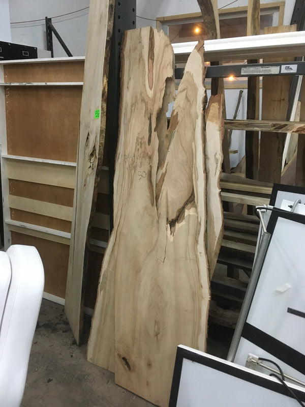 Live Edge Wood Slabs - Big Reuse