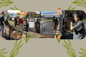 Big Reuse Brings New Life to Brooklyn College Garden - Big Reuse