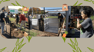 Big Reuse Brings New Life to Brooklyn College Garden - Big Reuse