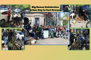 Big Reuse Celebrates Arbor Day in Fort Greene - Big Reuse