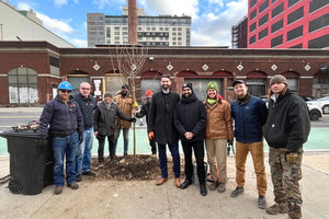 Big Reuse Launches a Tree Planting Program - Big Reuse