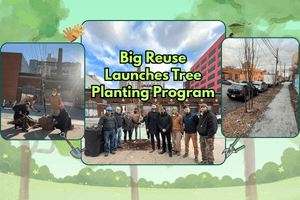 Big Reuse Launches a Tree Planting Program - Big Reuse