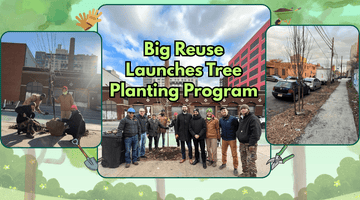 Big Reuse Launches a Tree Planting Program - Big Reuse