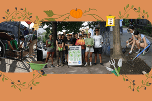 Big Reuse's Fall Tree Care (September & October 2025) - Big Reuse