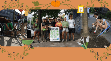 Big Reuse's Fall Tree Care (September & October 2025) - Big Reuse