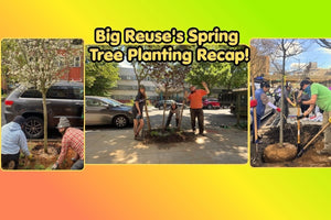Big Reuse's Spring Tree Planting Recap! - Big Reuse