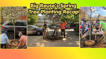 Big Reuse's Spring Tree Planting Recap! - Big Reuse