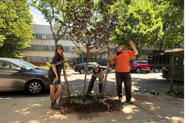 Big Reuse's Spring Tree Planting Recap! - Big Reuse