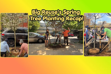 Big Reuse's Spring Tree Planting Recap! - Big Reuse