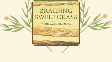 Book Review: Lessons of Gratitude from Braiding Sweetgrass - Big Reuse