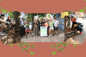 Caring for Bushwick’s Trees Together - Big Reuse