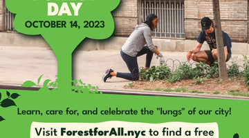 Celebrate City of Forest Day with us! - Big Reuse