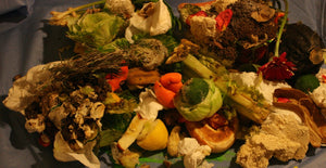 City Council restored funding for NYC community composting programs! - Big Reuse