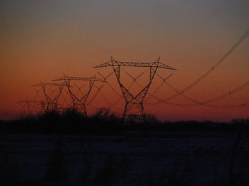 Climate Actions to Take this Week - Big Reuse