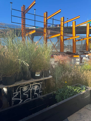 Come by the Reuse Center for Plants and Planters - Big Reuse