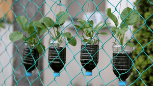 Community Gardens Creating Repurposed Art - Big Reuse