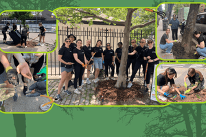 Corporate Volunteer Days with Big Reuse: Building a Greener City, Together - Big Reuse