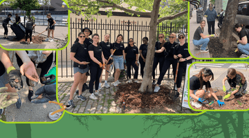 Corporate Volunteer Days with Big Reuse: Building a Greener City, Together - Big Reuse