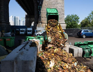 Donate to Big Reuse and help us fight climate change in NYC! - Big Reuse