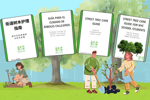 Fall in Love with Trees of NY - Big Reuse