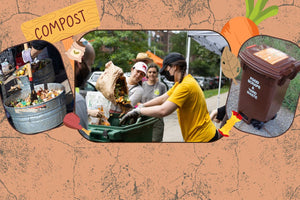 From Feast to Future: Composting Your Food Scraps - Big Reuse