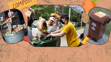 From Feast to Future: Composting Your Food Scraps - Big Reuse