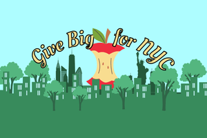 Give BIG for NYC! - Big Reuse