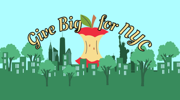 Give BIG for NYC! - Big Reuse