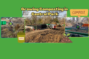 Growing Composting in Central Park - Big Reuse