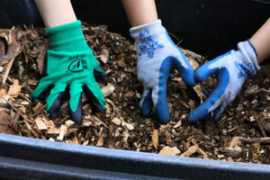 How to Help Street Trees this Winter - Big Reuse