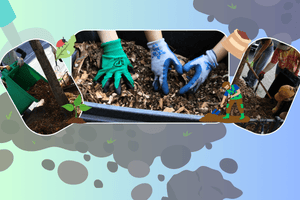 How to Help Street Trees this Winter - Big Reuse