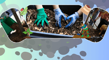 How to Help Street Trees this Winter - Big Reuse